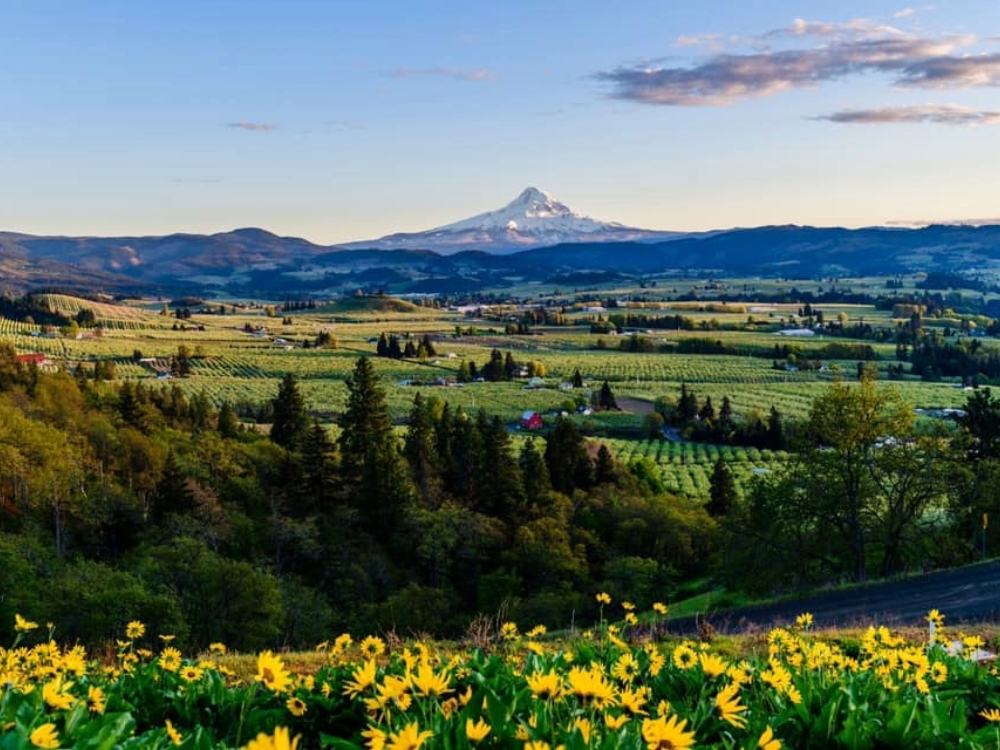 Golumbia River Gorge Vista View